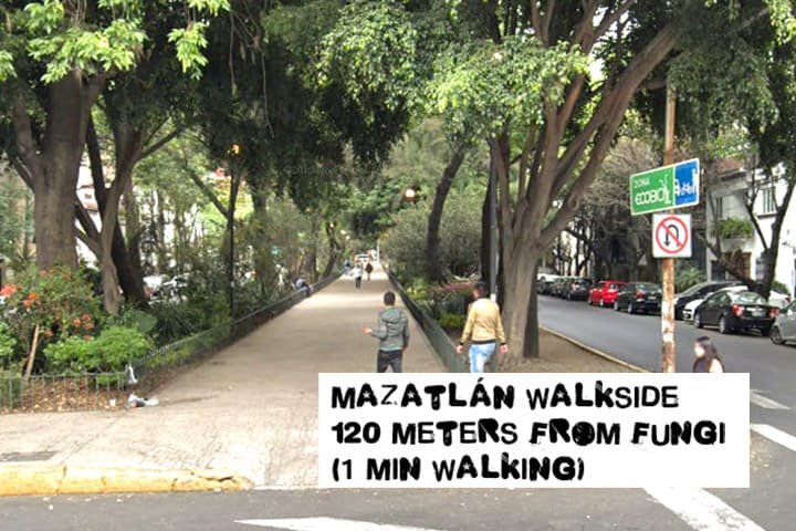 Mazatlan-walkside-from-fungi-distance