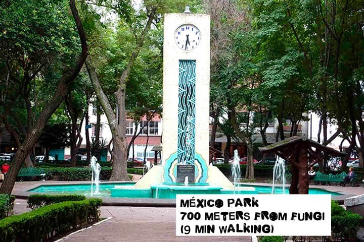 mexico-park-from-fungi-distance-3