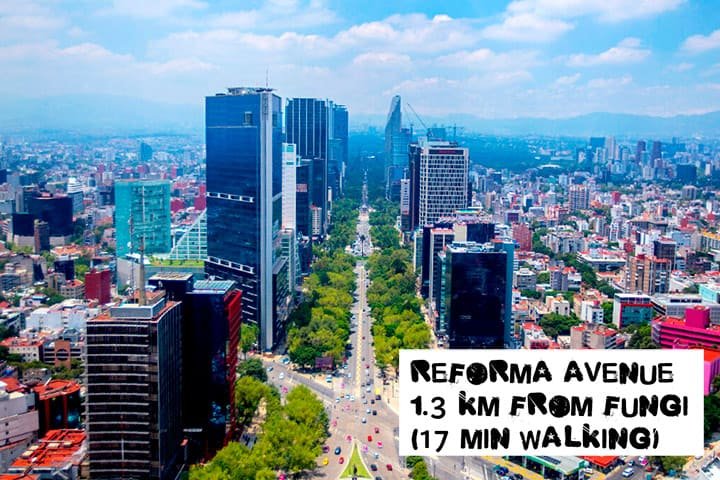 reforma-avenue-from-fungi-distance